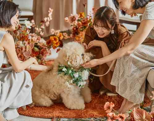 アクアガーデン迎賓館(沼津)/テイクアンドギヴ・ニーズウェディングの画像6