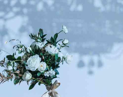 St.Filer OKAZAKI(サンフィレール岡崎)の画像5