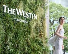 ウェスティンホテル横浜の画像3