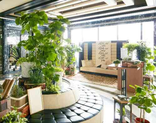 ラグナヴェール大阪(LAGUNAVEIL OSAKA)の画像5