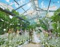 ソンブルイユ OSAKA WEDDING