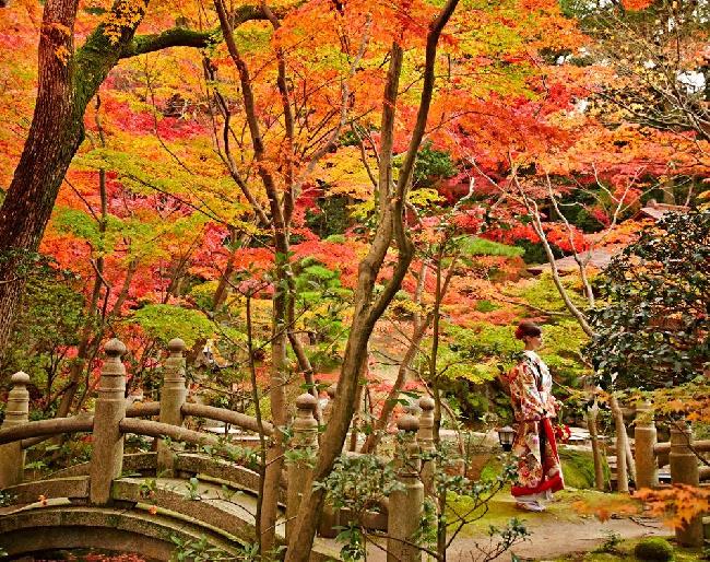 神戸迎賓館　旧西尾邸の写真1
