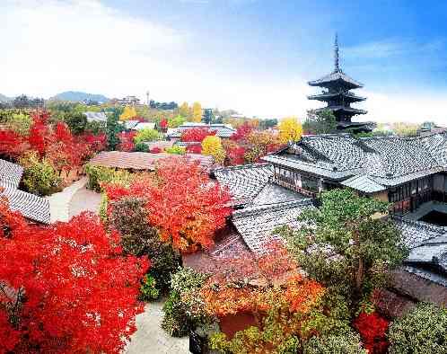 THE SODOH HIGASHIYAMA KYOTO（ザ ソウドウ 東山京都） の画像2