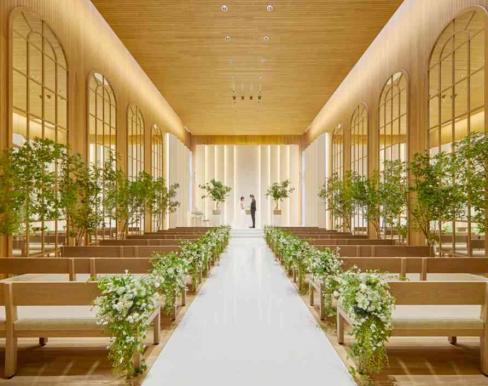 OLIVE ARIA(オリーブ アリア)