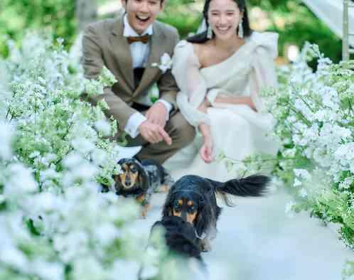 ザ ジャクソン ガーデン（THE JACKSON GARDEN）の写真6