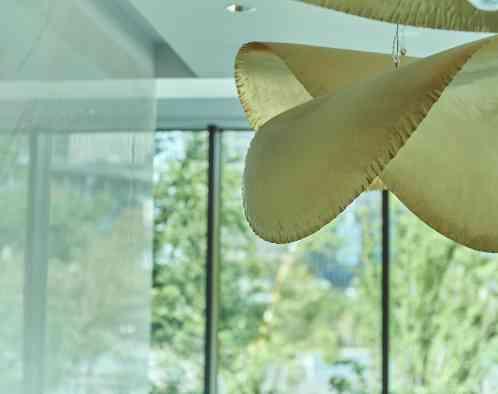 ザ ジャクソン ガーデン（THE JACKSON GARDEN）の写真3