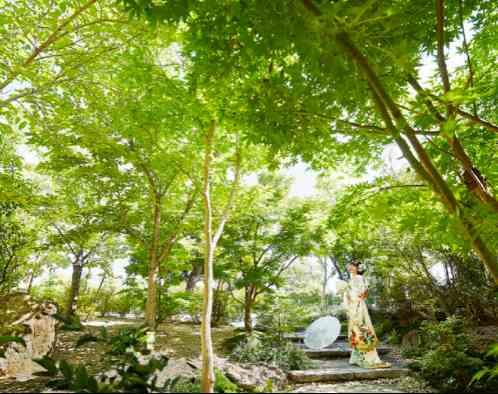 musee yotsuike(ミュゼ四ツ池)の画像1