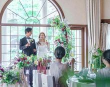 プリムローズの画像3