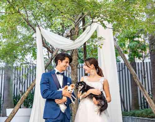 ビアンカーラ ヒルサイドテラスの画像5