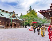 THE MORRISの画像3