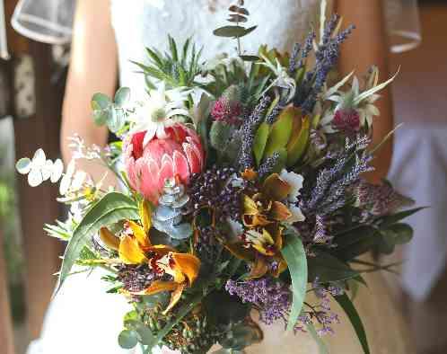 Ａｎｇｅｐａｔｉｏ（アンジェパティオ）の写真4