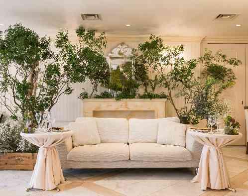 Angepatio(アンジェパティオ)の写真3