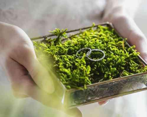 Ａｎｇｅｐａｔｉｏ（アンジェパティオ）の写真6