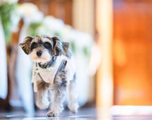 アヴェニール ガーデンの画像2