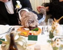 アヴェニール ガーデンの画像4