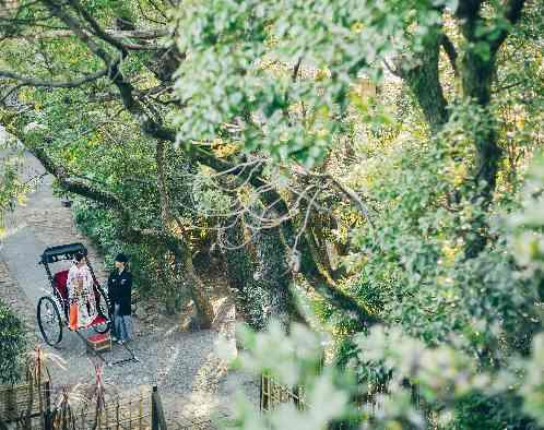 浜松八幡宮 楠倶楽部の画像5