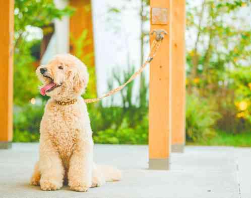 Healing Forest Garden（ヒーリング フォレスト ガーデン）の写真6