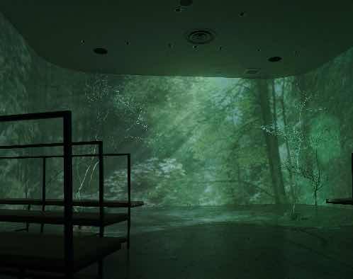 Apartment2c Wedding(アパートメントトゥーシーウェディング)の画像2