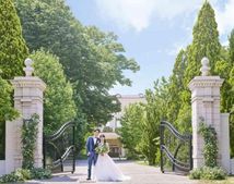 ガーデンバーベナのサムネイル写真