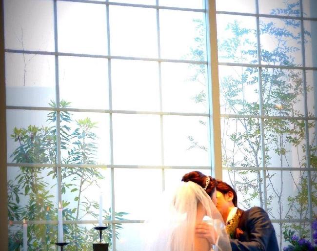 マリエール ガーデン バーベナ (Marriyell Garden Verbena)の写真4