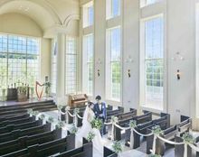 ガーデンバーベナの画像2