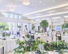 ガーデンバーベナの画像3