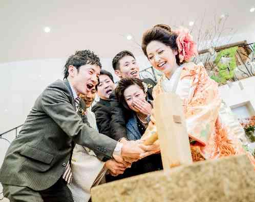 マリエール ガーデン バーベナ (Marriyell Garden Verbena)の画像1