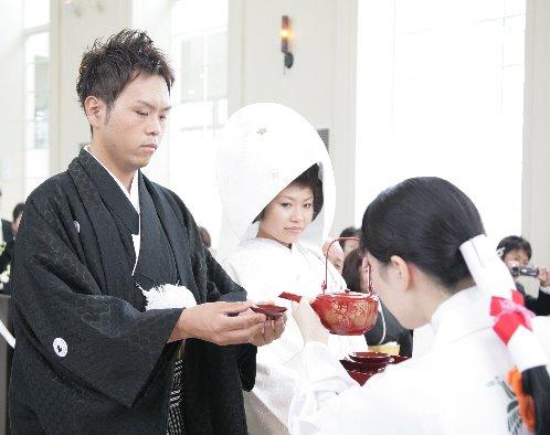 マリエール　ガーデン　バーベナ　（Marriyell Garden Verbena）の写真3