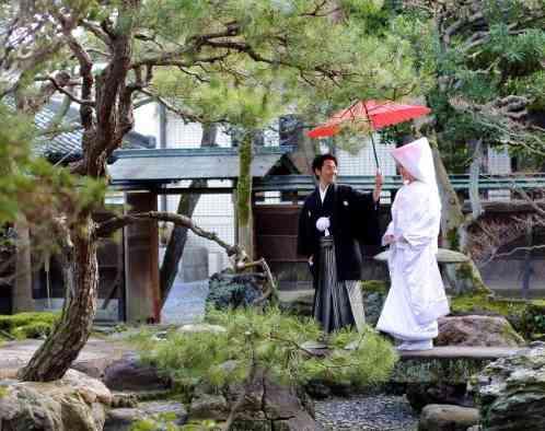 マリエール ガーデン バーベナ (Marriyell Garden Verbena)の写真4