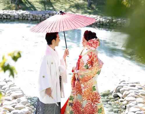 マリエール ガーデン バーベナ (Marriyell Garden Verbena)の画像5