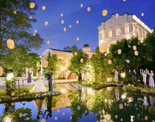 ガーデンバーベナの画像4