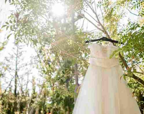 マリエール ガーデン バーベナ (Marriyell Garden Verbena)の写真5