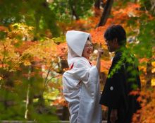 八勝館の画像3