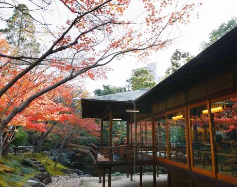 八勝館の画像4