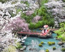 東郷記念館のサムネイル写真