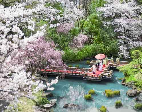 東郷神社／東郷記念館の画像1