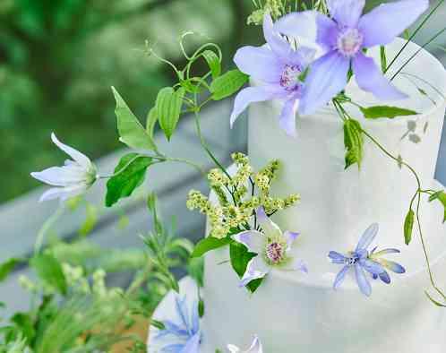 翠楓シーズンズテラスの写真6