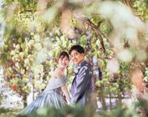 アルカーサル ビエントスのサムネイル写真