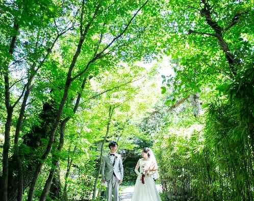 THE FUJIYA GOHONJIN（藤屋御本陳）の写真3