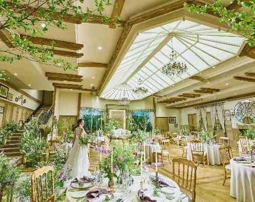 ネオス・ミラベルの画像4