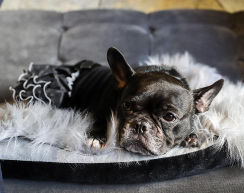 Allegro Kanazawa(アレグロ カナザワ)の画像4