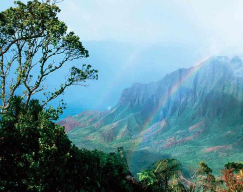 ザ・プライベート・ガーデン アロハ・ケ・アクア / ワタベウェディングの画像4