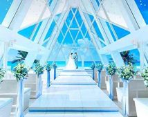 ブルーアステールのサムネイル写真