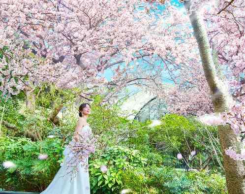 WeGreen RESORT（ウィグリーン リゾート）の写真3