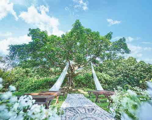 ザ・ビーチテラス ホテルアオ石垣の写真1