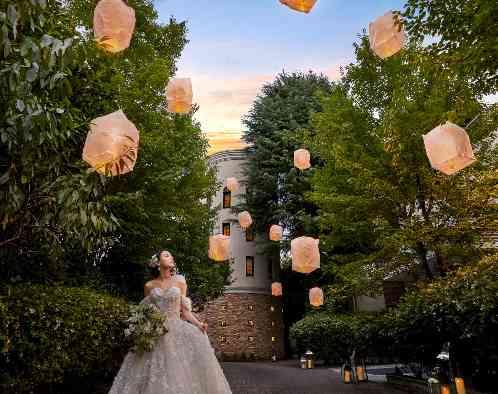 目白の森 メーヤー・ライニンガーの画像5