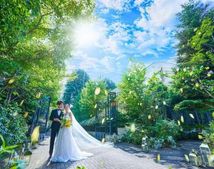 メーヤー・ライニンガーのサムネイル写真