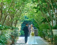 メーヤー・ライニンガーの画像2