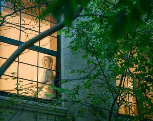 目白の森 メーヤー・ライニンガーの画像5