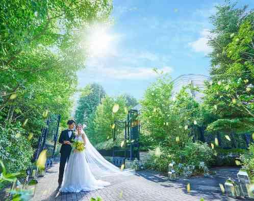 目白の森 メーヤー・ライニンガーの写真1